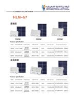 Flamingo Solar Power HLN-57 LED Floodlight