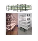 Indoor Vegetable Growing Racks - 4-Tier Hydroponic System