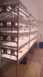 Indoor Vegetable Growing Racks - 4-Tier Hydroponic System - Image 4